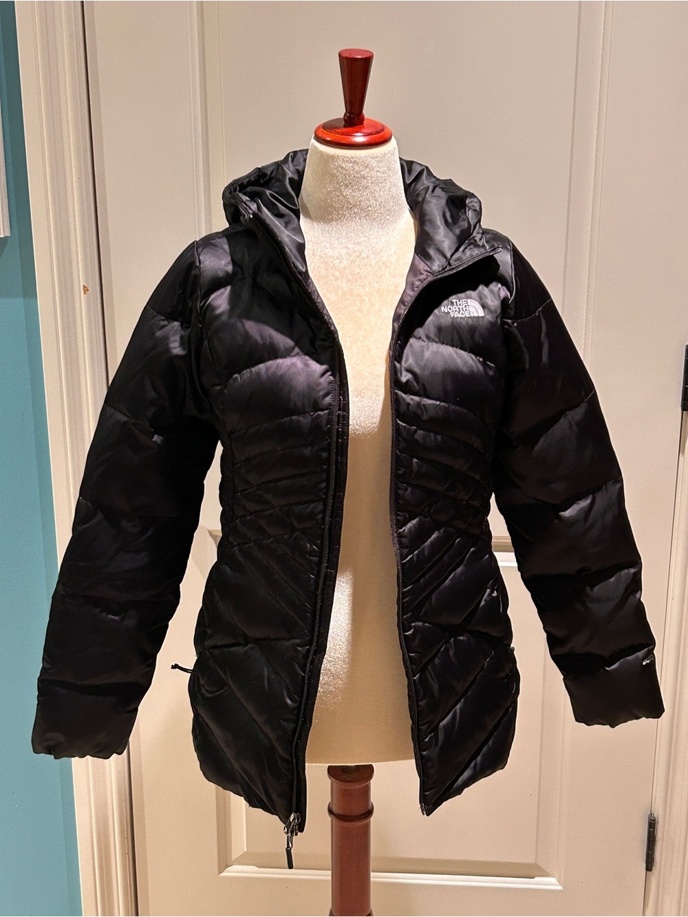 The North Face Women's Black Quilted Hooded Puffer Jacket